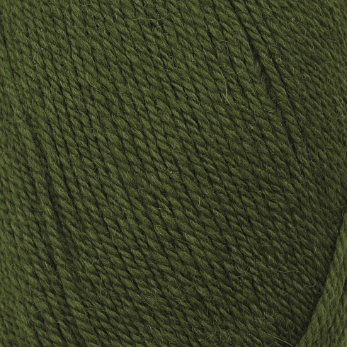 Пряжа "Эвридика" - 100% шерсть - 100гр. / 200м темно-зеленый Астра Премиум